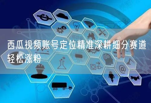 西瓜视频账号定位+细分赛道，精准深耕涨粉快