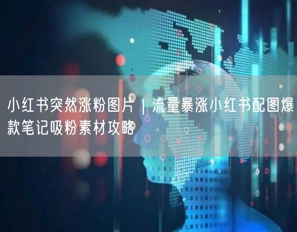 小红书突然涨粉图片|流量暴涨小红书配图爆款笔记吸粉素材攻略