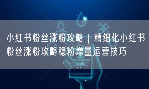 小红书粉丝涨粉攻略|精细化小红书粉丝涨粉攻略稳粉增量运营技巧