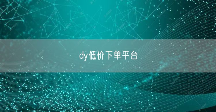dy低价下单平台