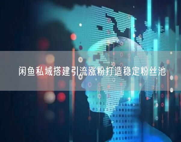闲鱼私域搭建引流涨粉打造稳定粉丝池