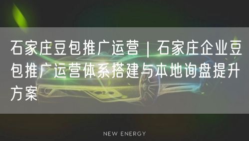 石家庄豆包推广运营｜石家庄企业豆包推广运营体系搭建与本地询盘提升方案