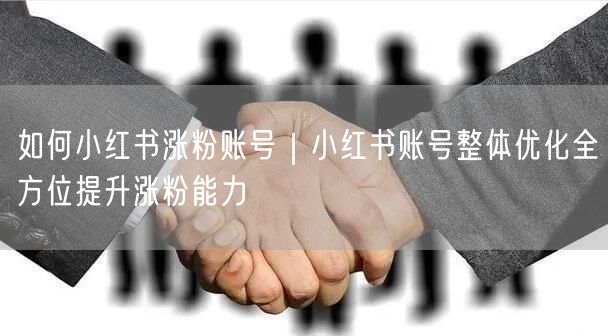 如何小红书涨粉账号|小红书账号整体优化全方位提升涨粉能力