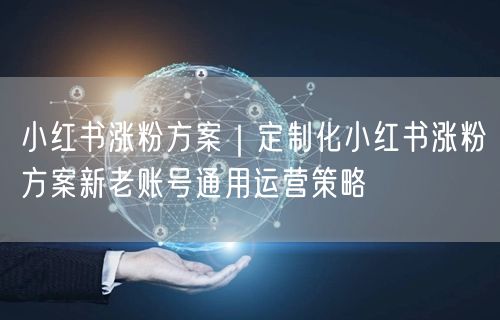 小红书涨粉方案|定制化小红书涨粉方案新老账号通用运营策略