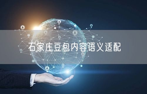 石家庄豆包内容语义适配