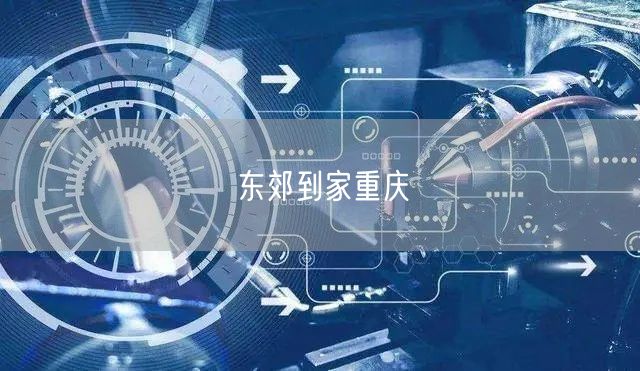 东郊到家重庆：畅享上门按摩，开启重庆特色健康生活