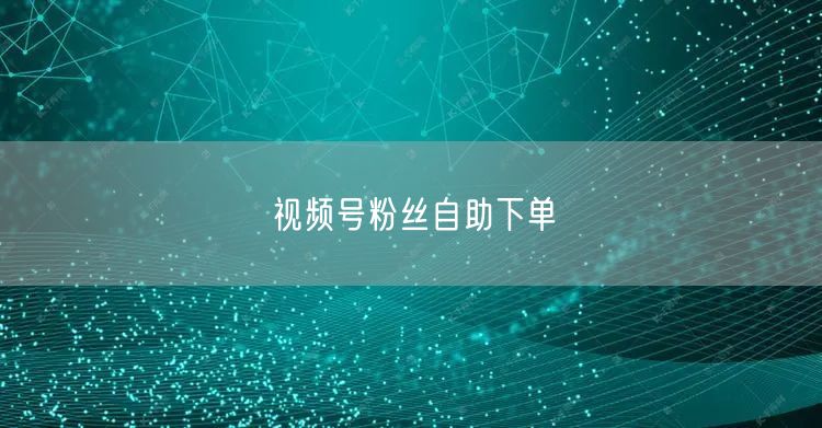 视频号粉丝自助下单