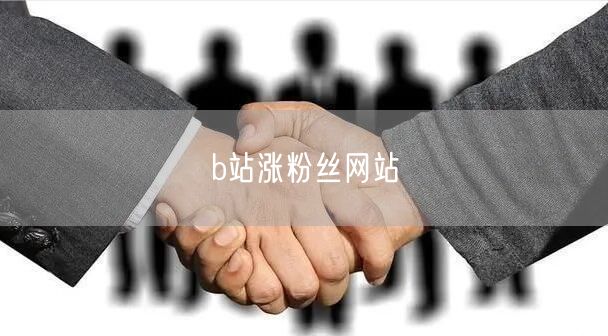 b站涨粉丝网站