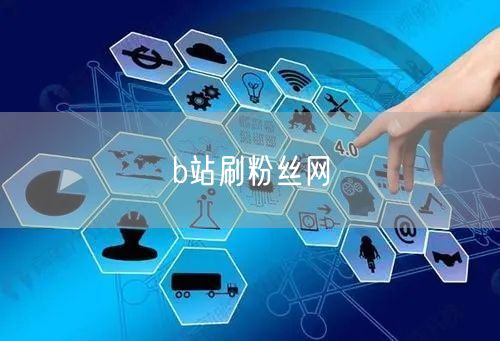 b站刷粉丝网