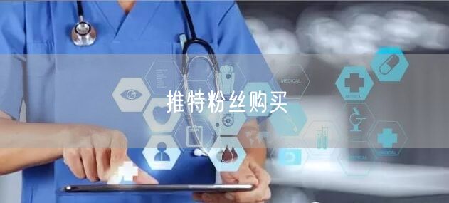 推特粉丝购买