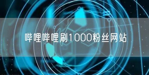 哔哩哔哩刷1000粉丝网站