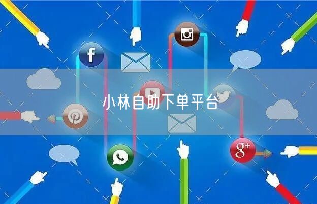 小林自助下单平台