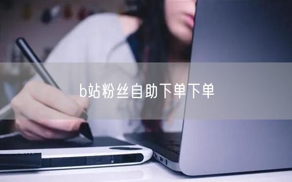 b站粉丝自助下单下单