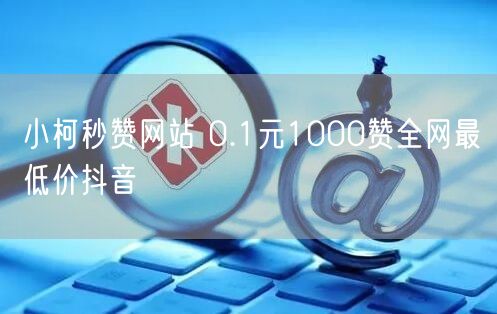 小柯秒赞网站 0.1元1000赞全网最低价抖音