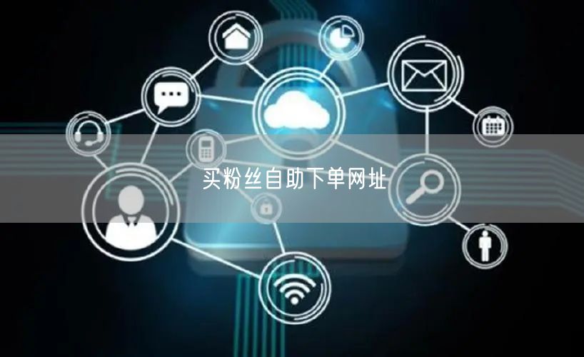买粉丝自助下单网址