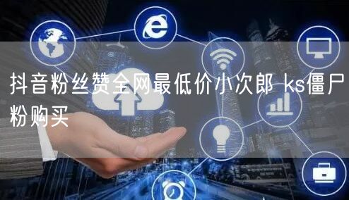抖音粉丝赞全网最低价小次郎 ks僵尸粉购买