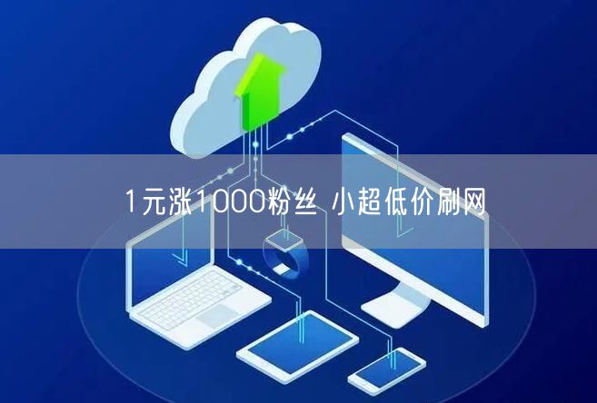 1元涨1000粉丝 小超低价刷网