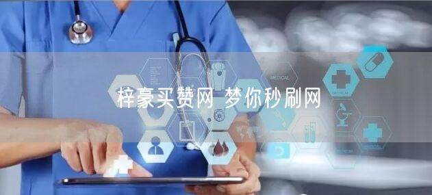 梓豪买赞网 梦你秒刷网
