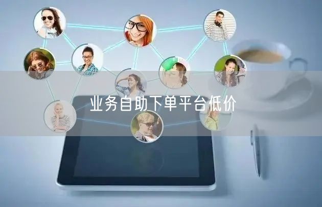 业务自助下单平台低价