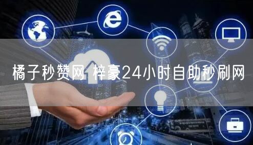 橘子秒赞网 梓豪24小时自助秒刷网