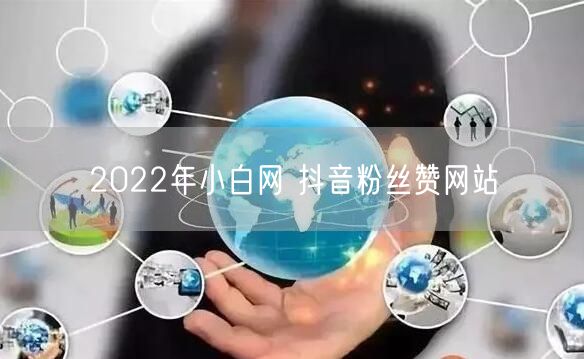 2022年小白网 抖音粉丝赞网站